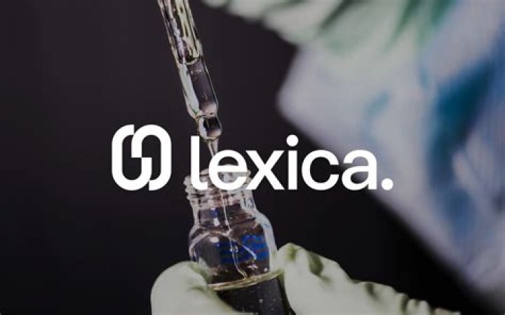 Lexica Meaning: Unlocking the Power of Lexical Terms in Language