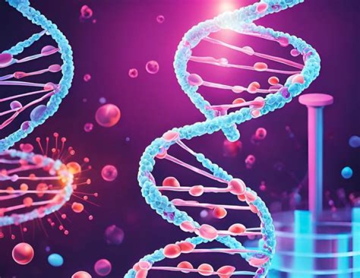 Life Expectancy GSD: Understanding the Lifespan of German Shepherds