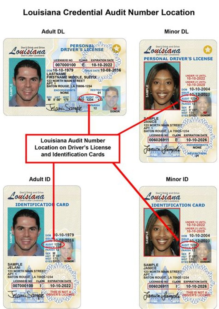How to Handle a Lost Louisiana License: A Comprehensive Guide