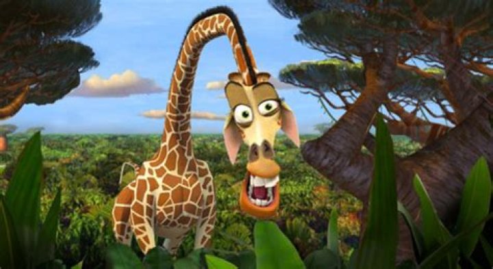 Madagascar Melman Personality: A Comprehensive Exploration