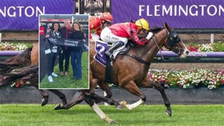 Main Event Tafford Photos: A Comprehensive Guide to Capturing the Perfect Moment