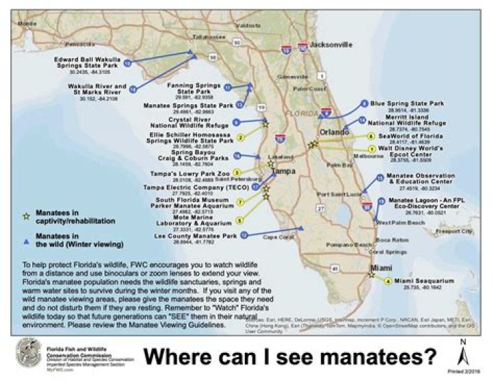 Manatee County Florida Water Restrictions: A Comprehensive Guide to Conservation