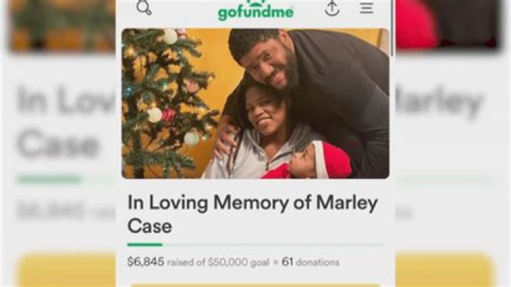 Marley Case Miami: The Untold Story and Key Insights