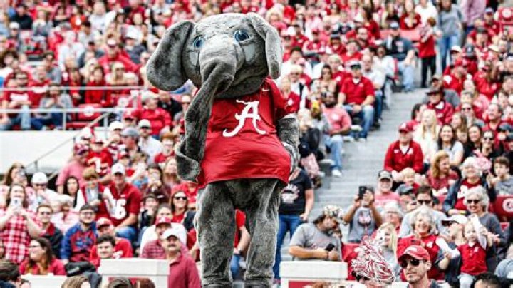 Mascot for Alabama Crimson Tide: The Ultimate Guide