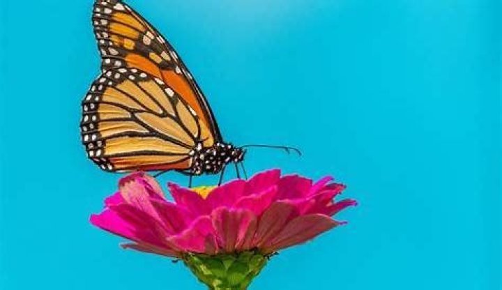 Mastering NHL 24: How to Get More Bouncing Pucks and Elevate Your Game