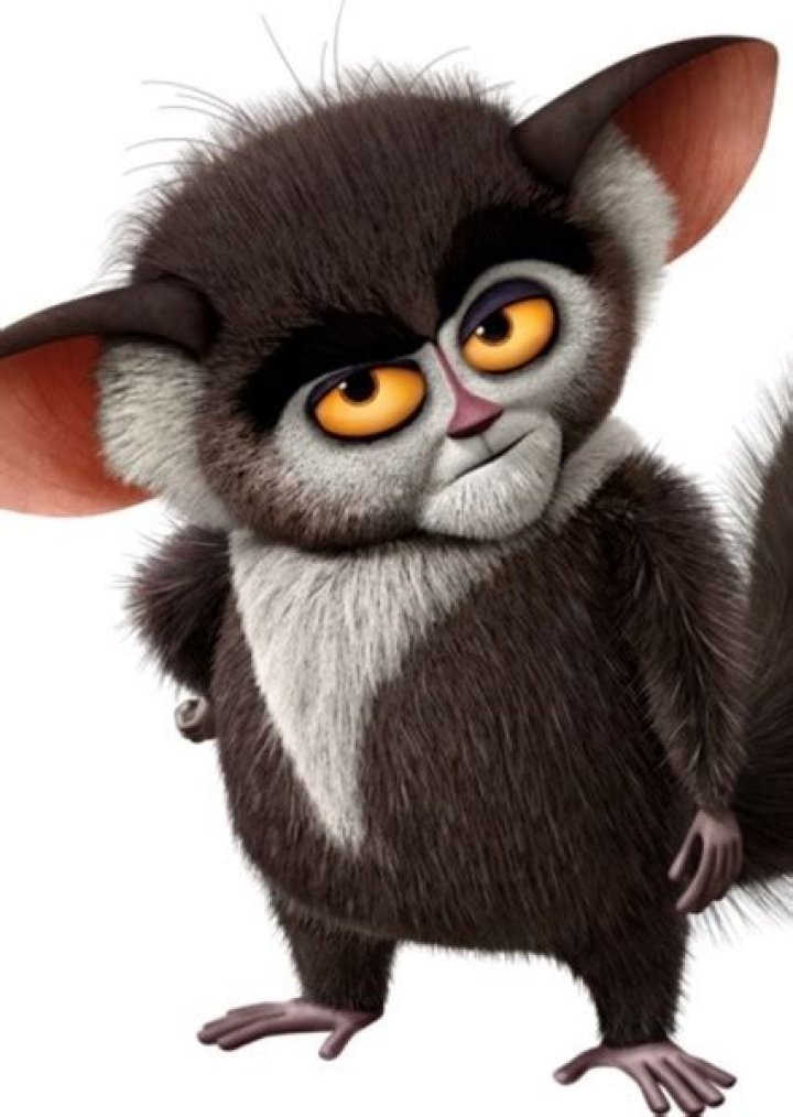 Maurice the Aye-Aye: The Fascinating Creature That Captures Hearts