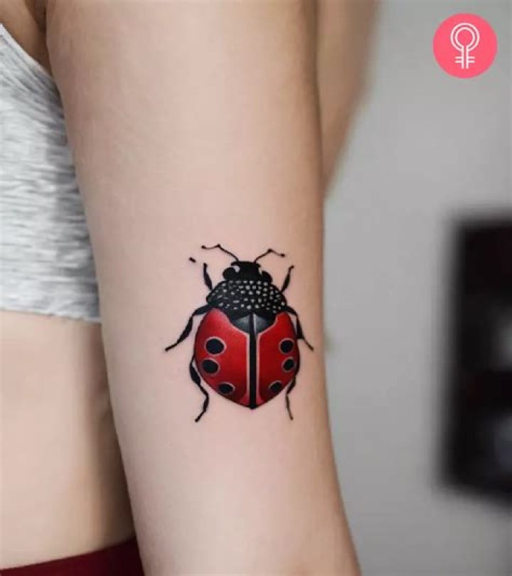Unveiling the Meaning of Ladybug Tattoo: A Symbol of Luck, Transformation, and Beauty