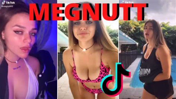 Meggnutt Fanbus: The Ultimate Guide to the Iconic Experience