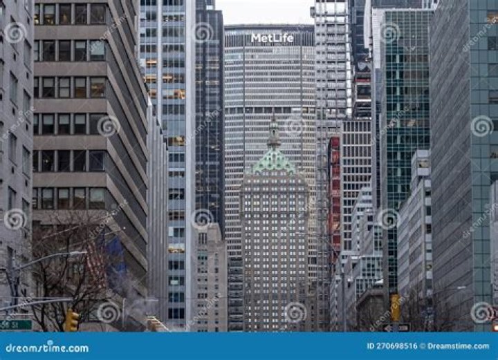 Understanding MetLife: A Comprehensive Guide to Your Money or Your Life