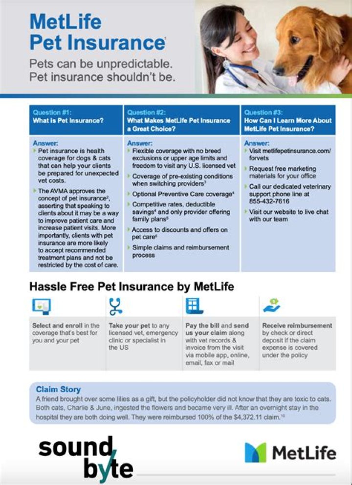 Comprehensive Guide to MetLife Insurance Policy: Protecting What Matters Most