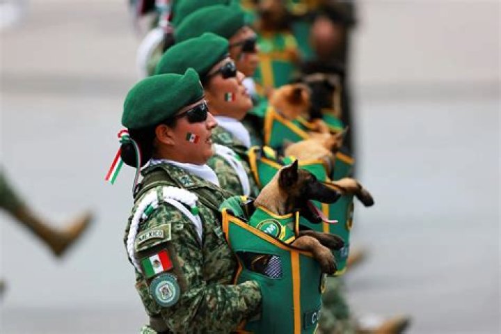 Mexico's Leader: A Comprehensive Guide to Understanding the Role, History, and Impact