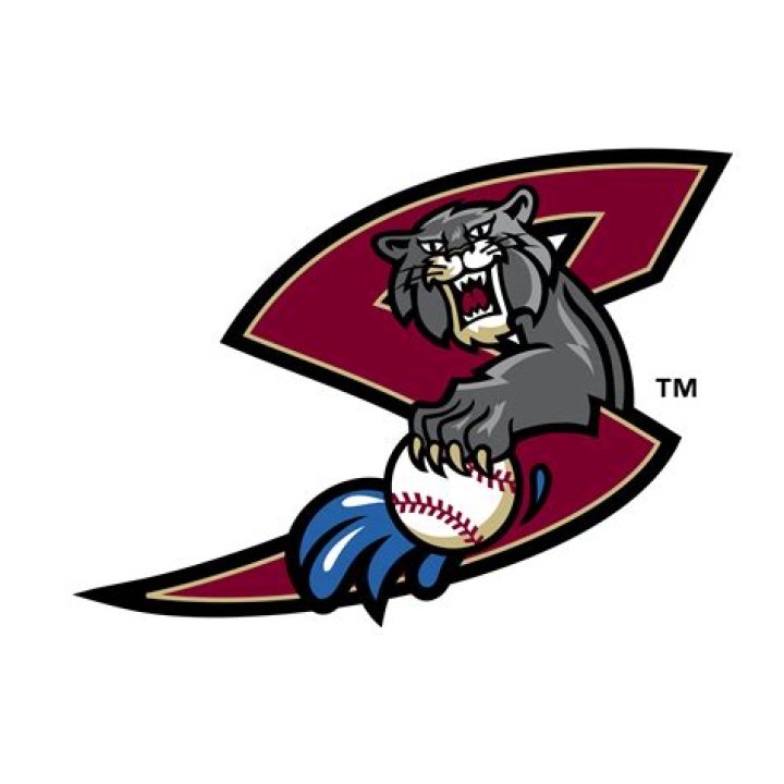 Minor League River Cats: A Deep Dive into the Thrills of Baseball