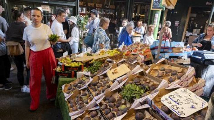 MitchellSeafood Market: Your Ultimate Destination for Fresh and Premium Seafood