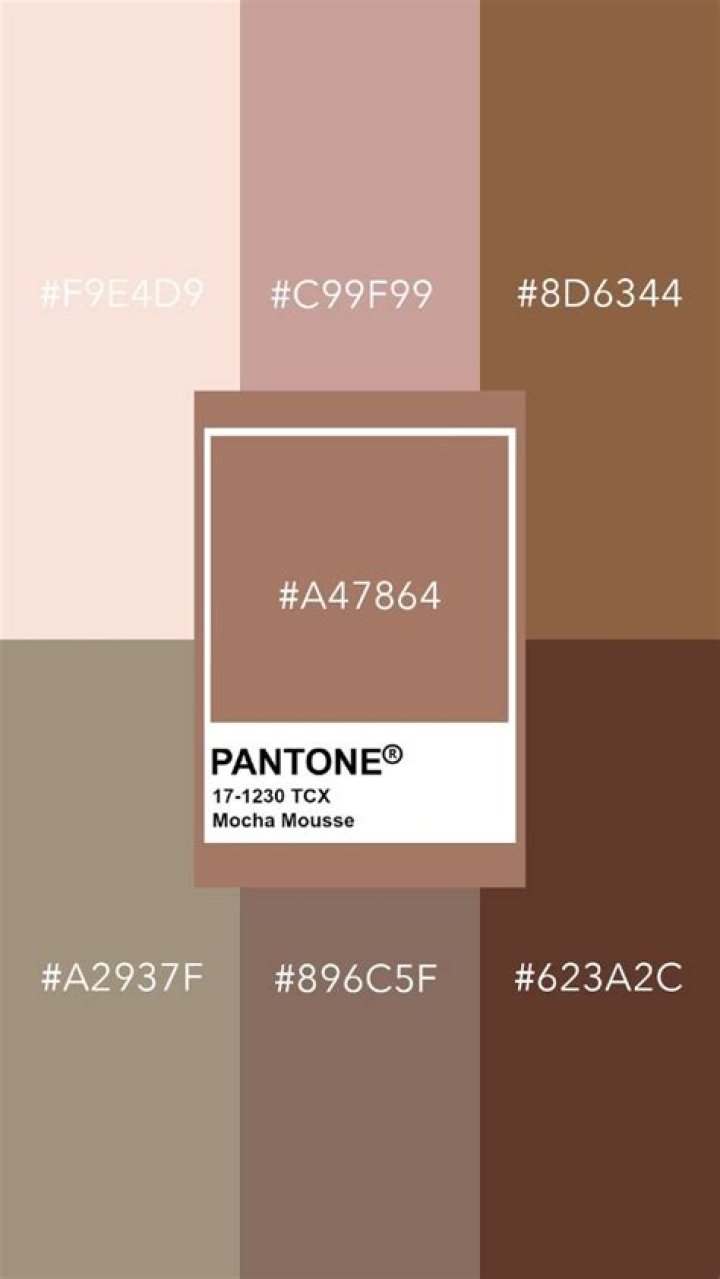 Mocha Colorkin: The Ultimate Guide to a Vibrant Hair Transformation