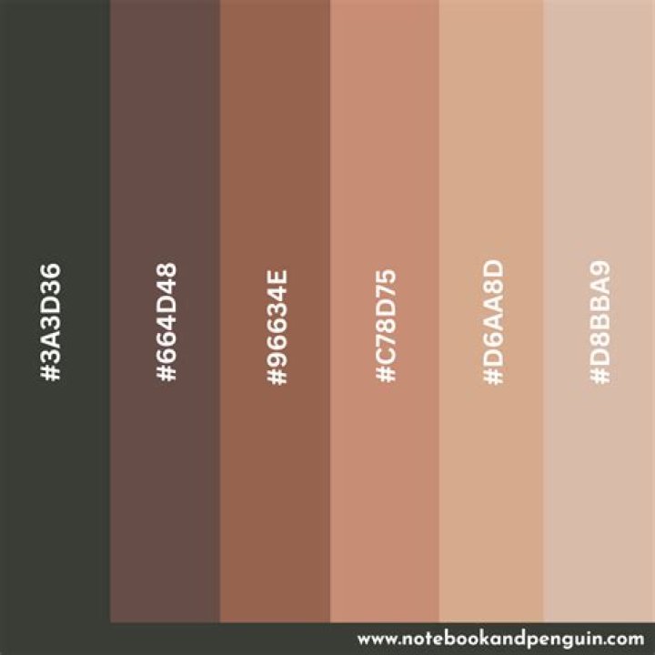Mochakin Color: A Comprehensive Guide to This Trendsetting Palette