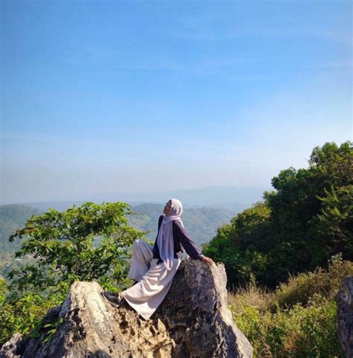 Mocie: The Ultimate Guide to Discovering the Fascinating World of Mocie