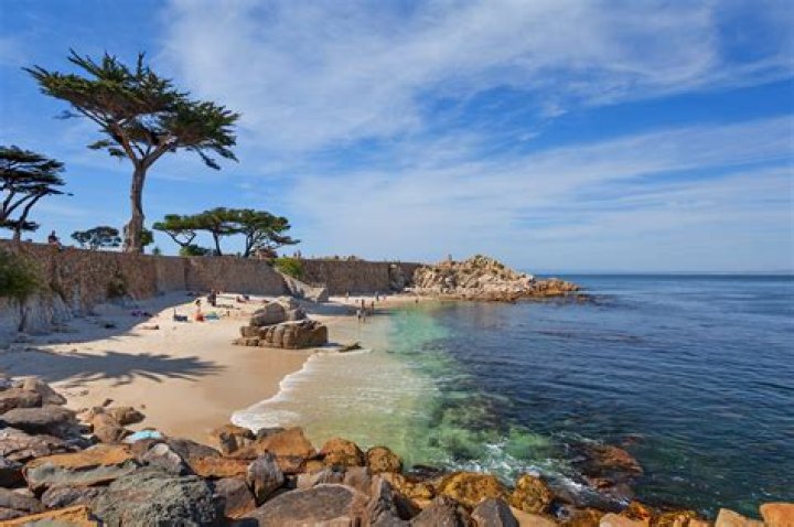 Monterey Bay's Best Beaches: A Comprehensive Guide to Coastal Paradise