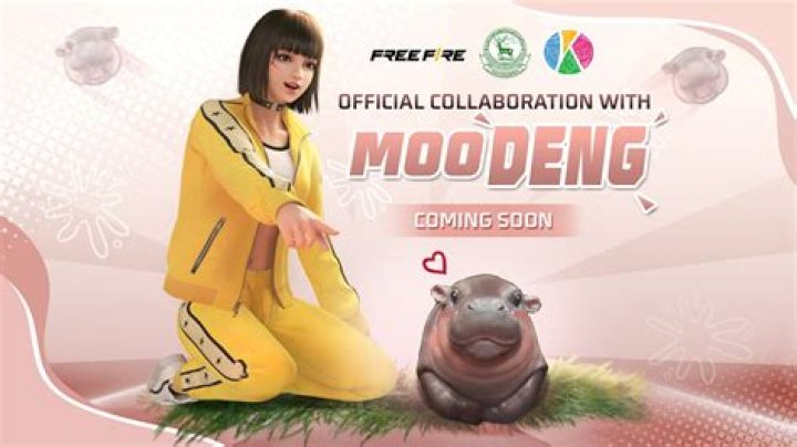 Moo Deng Fire: Exploring the Phenomenon and Its Impacts