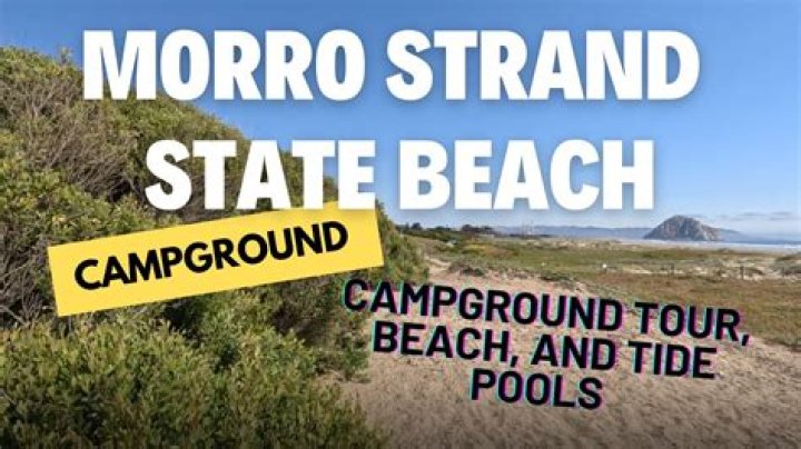 Morro Strand State Beach Camping: The Ultimate Guide to Your Coastal Adventure