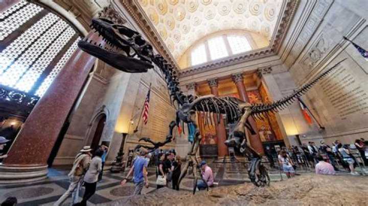 National Museum of Natural History Washington DC Hours: A Comprehensive Guide