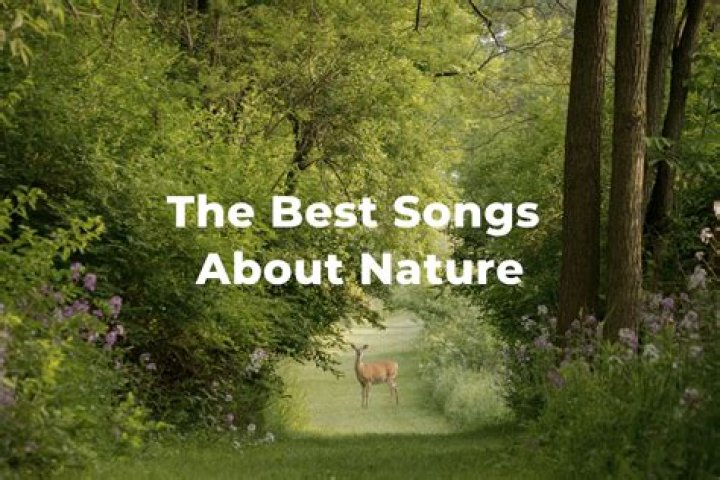 Nature Lyrics: Celebrating the Beauty of the Natural World Through Music