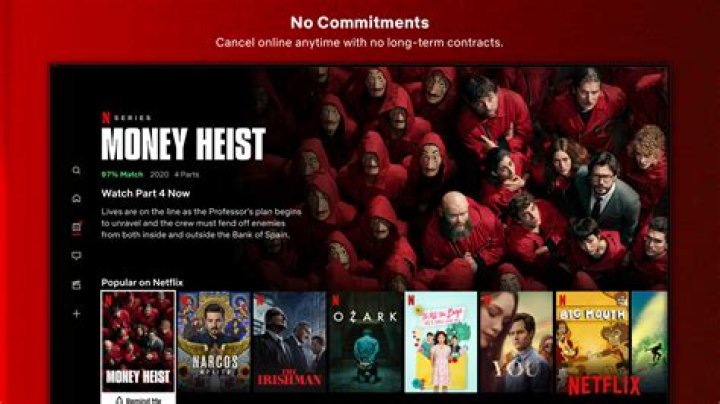 Netflix: The Ultimate Guide to Streaming Entertainment