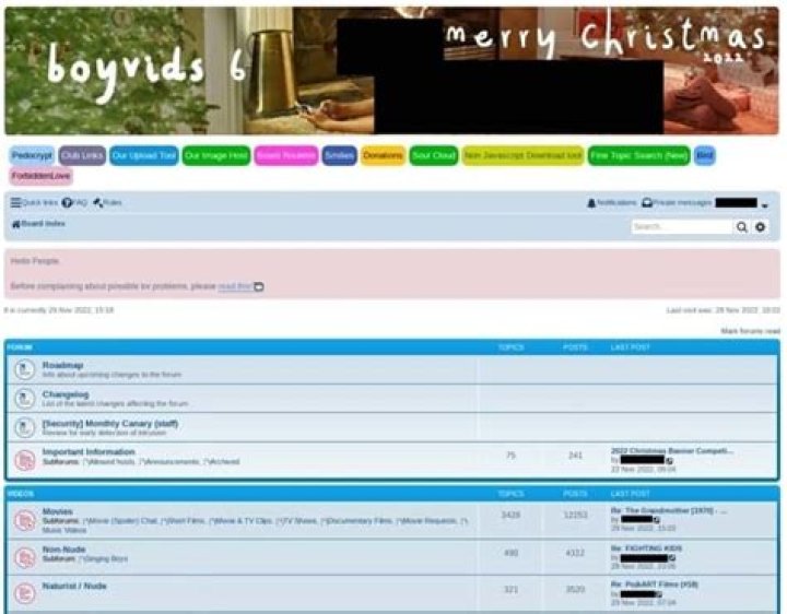 New Pornvids: Understanding the Landscape of Adult Content in the Digital Age