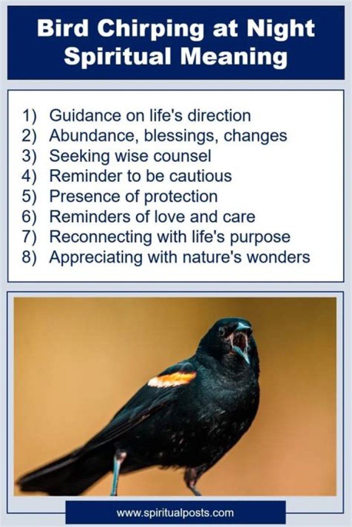 Night Birds Chirping: Discover the Fascinating World of Nocturnal Avian Songs