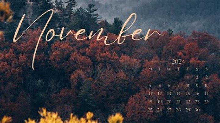 Unveiling the Mysteries of November 20 Zodiac: A Deep Dive Into Scorpio Traits and Characteristics
