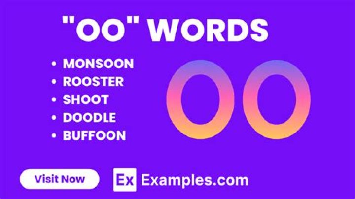 O/OO Meaning: A Comprehensive Guide to Understanding and Applying Its Usage