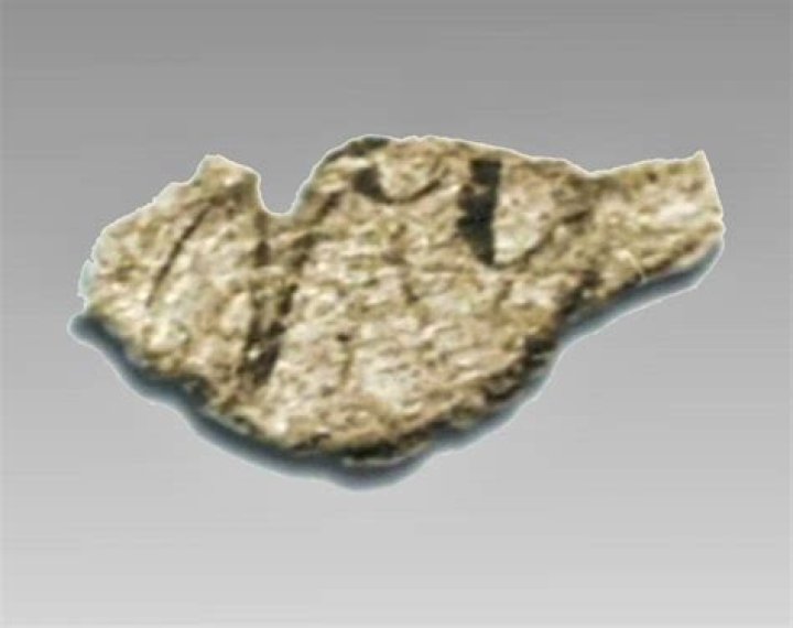 Oak Island Parchment: Unveiling the Secrets of a Mysterious Artifact