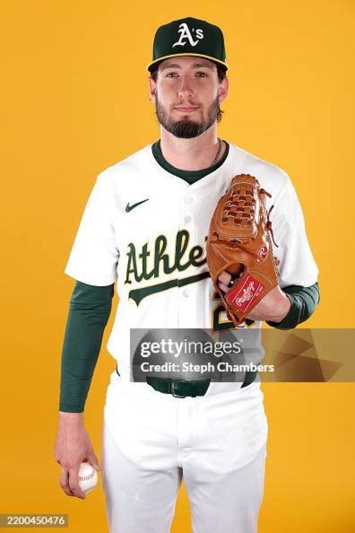 Oakland Ferry Schedule: A Comprehensive Guide to Navigating Bay Area Waterways