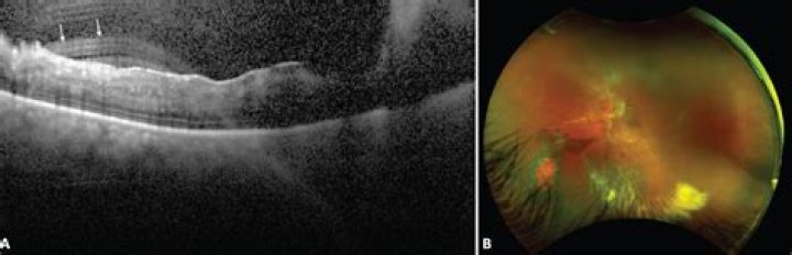 Unveiling the Mysteries of Oct 10 Astrological Sign: A Comprehensive Guide