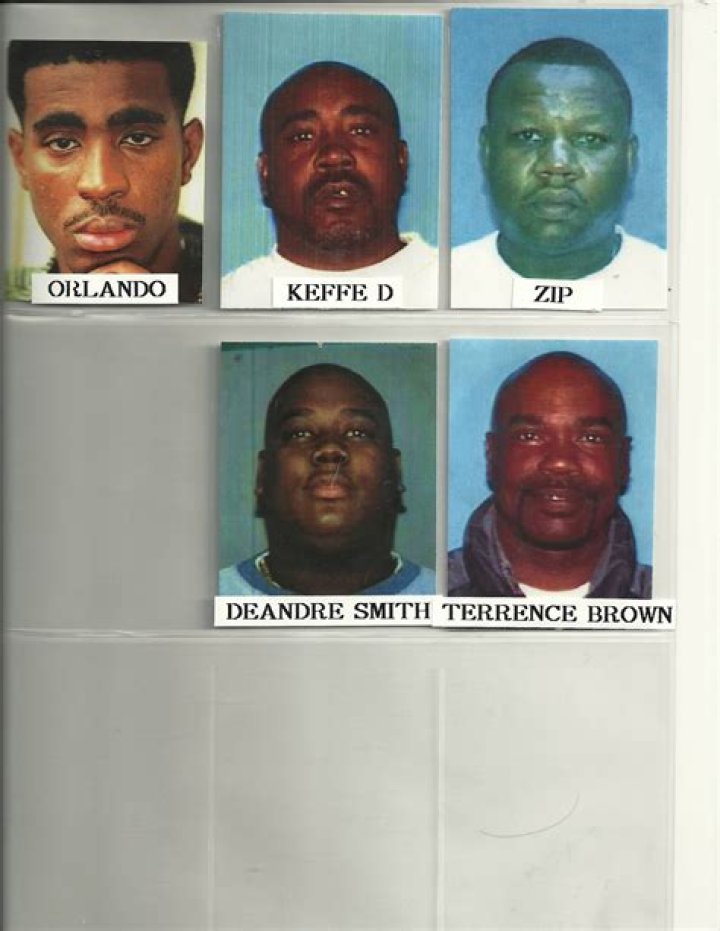 Orlando Baby Lane Anderson: A Comprehensive Look at Her Life, Achievements, and Legacy