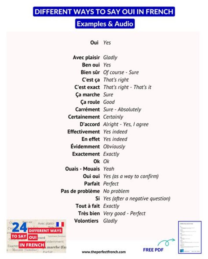 Oui Oui in French Means: A Comprehensive Guide to Understanding French Affirmation