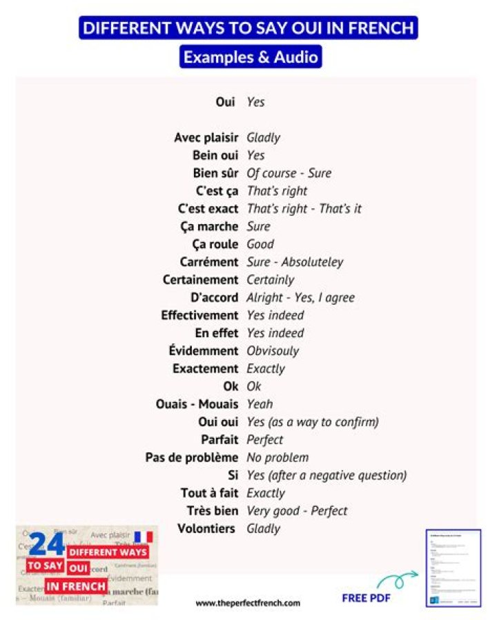 Oui Oui Meaning: Understanding the Phrase and Its Cultural Significance