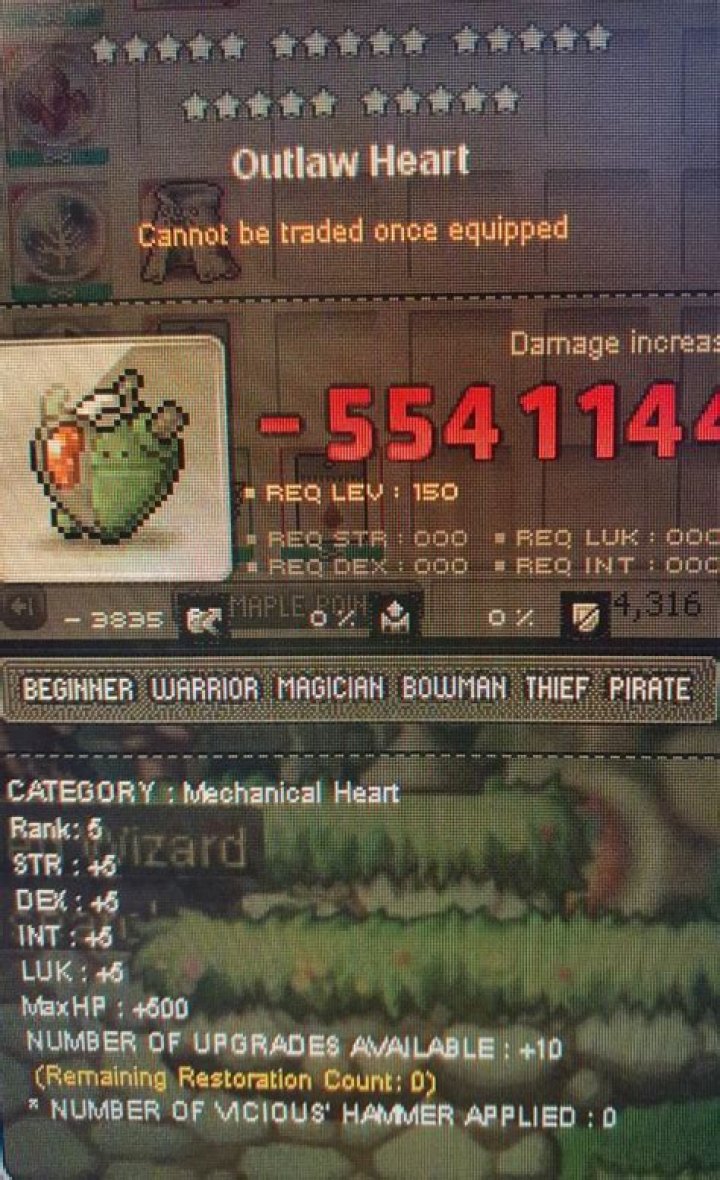 Outlaw Heart: The Definitive Guide to a Wild and Unyielding Spirit