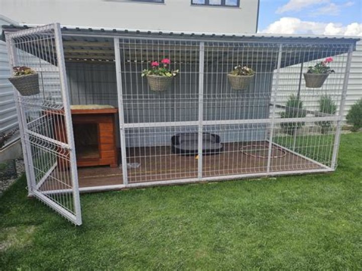 Understanding PADOC: A Comprehensive Guide to the Philippine Army Detention of Captured Combatants