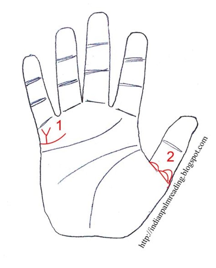 Palmistry Twins: Unveiling the Secrets of Hand Lines and Twin Connections