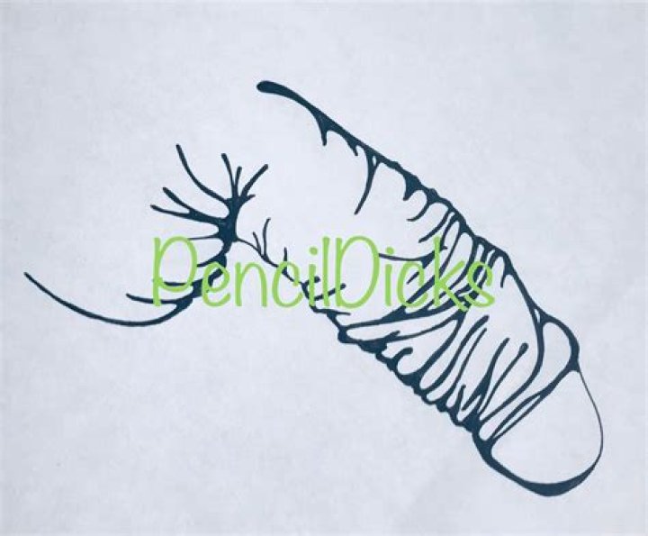 Penise Tattoo: A Comprehensive Guide to Art, Expression, and Considerations