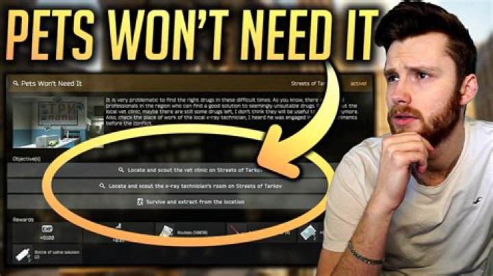 Pets Won't Need It: A Comprehensive Guide to Modern Pet Care