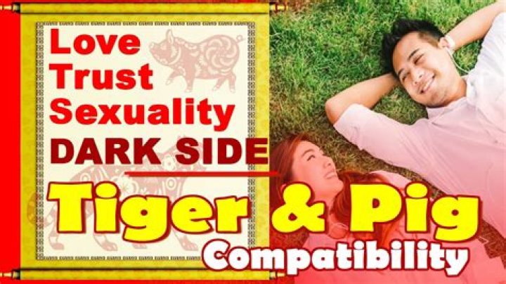 Pigs and Tigers Compatible: Exploring the Compatibility Between Pigs and Tigers in the Chinese Zodiac