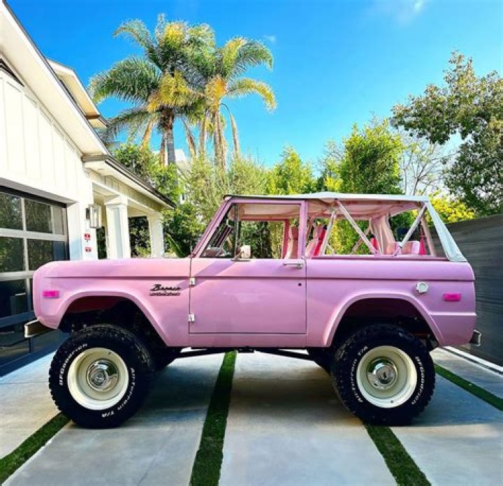 Pink Early Life: A Journey Through Her Beginnings