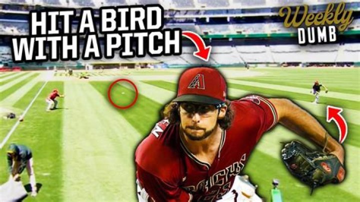Pitcher Hits a Bird: A Rare and Fascinating Moment in Baseball