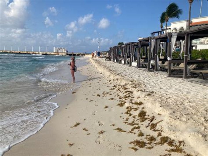 Playa del Carmen Weather in July: Your Ultimate Guide to Planning the Perfect Trip