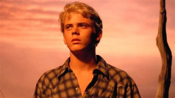 Ponyboy Curtis in The Outsiders: A Deep Dive into His Character and Impact