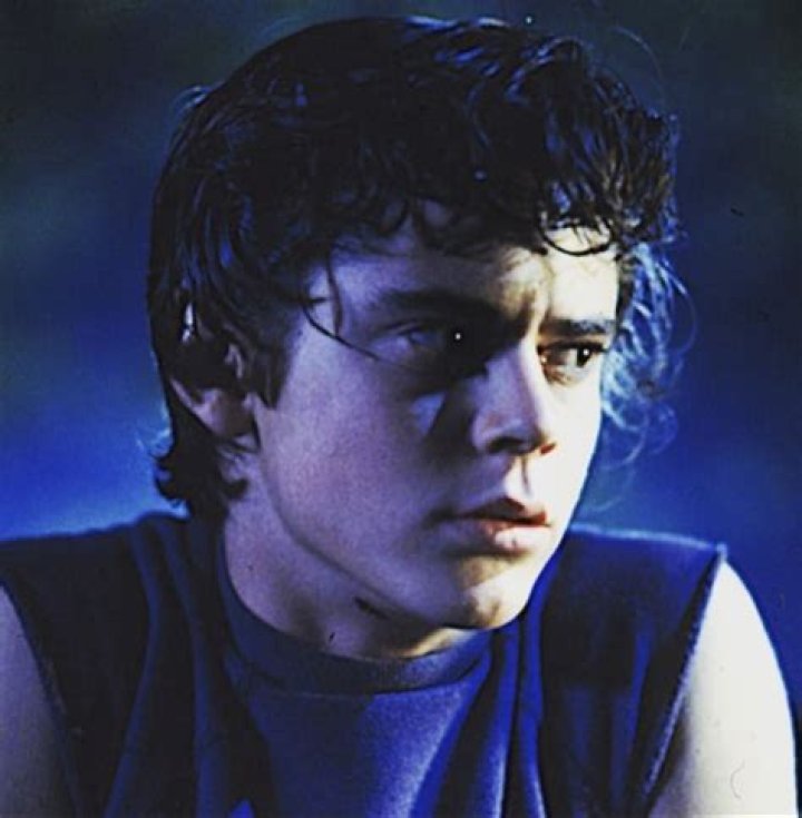 Ponyboy Curtis Outsiders: A Comprehensive Look into the Iconic Character