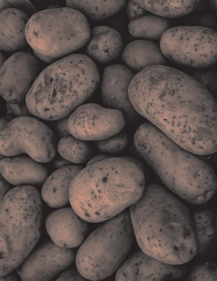 Potato Production By State: A Comprehensive Analysis