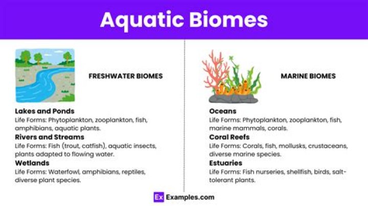 Preventing Aquatic Biomes Degradation: A Comprehensive Guide