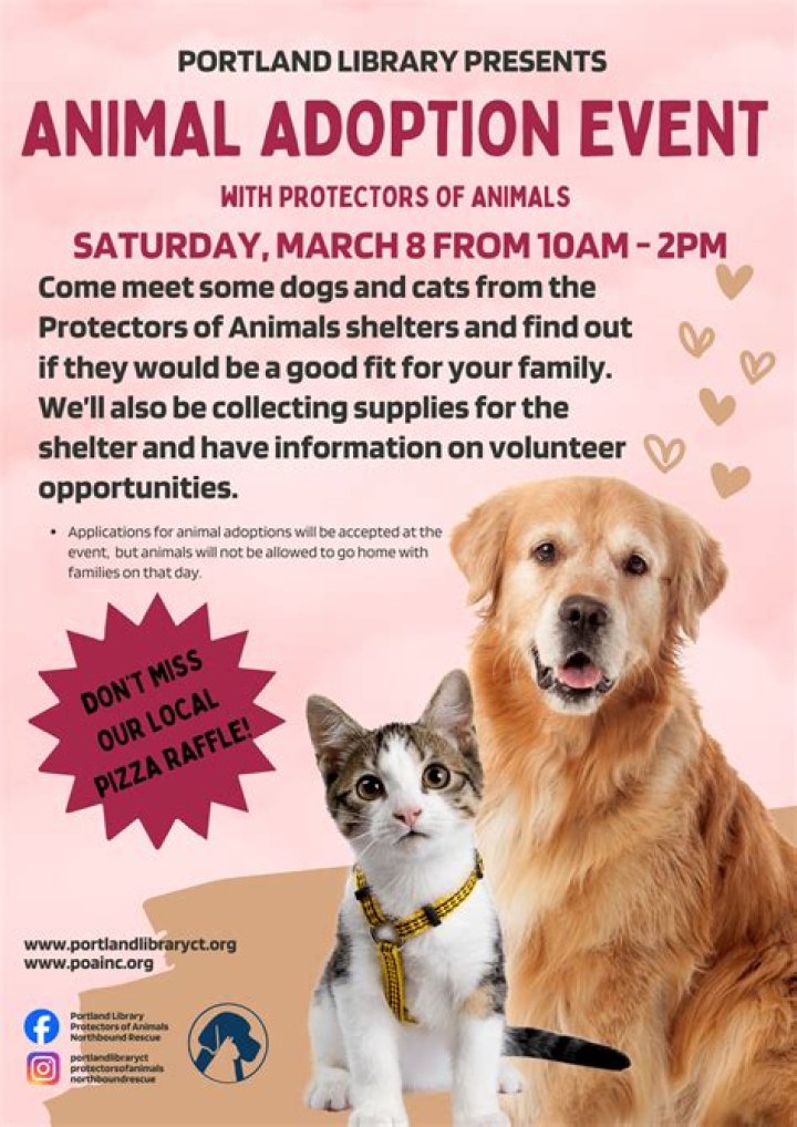 Protectors of Animals Adoption: Champions for a Kinder World